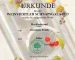 Urkunde Habaneromarille